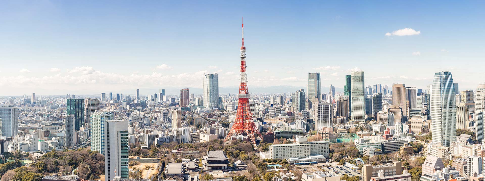 Aerial view of Tokyo skyline